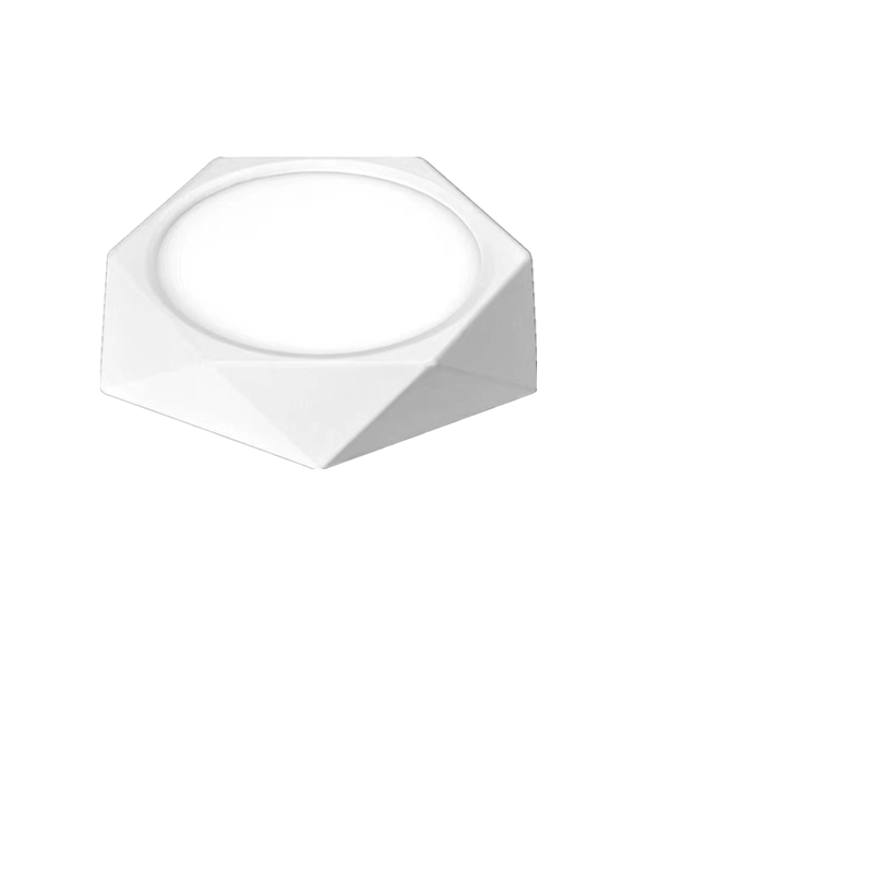 LED PANEL LIGHT